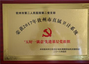 ڶ֧ٻֱϵͳһ⡱Ƚ㵳֯