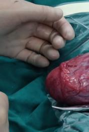 4СŮڳ˾޴鵼鷿¾ רŶΪʹ