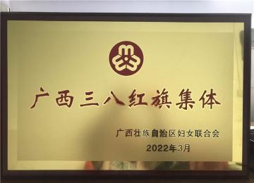 2022年广西三八红旗集体